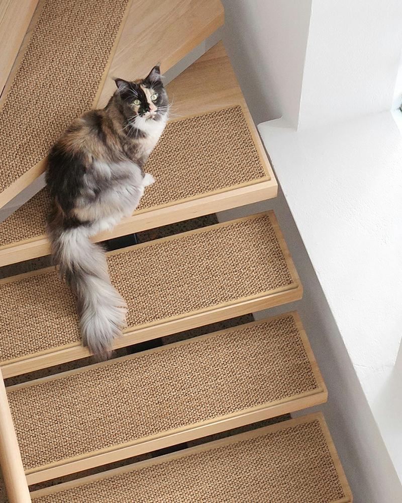 Non slip stair treads with rubber backing for wooden stairs, safe for kids, dogs, and elderly.