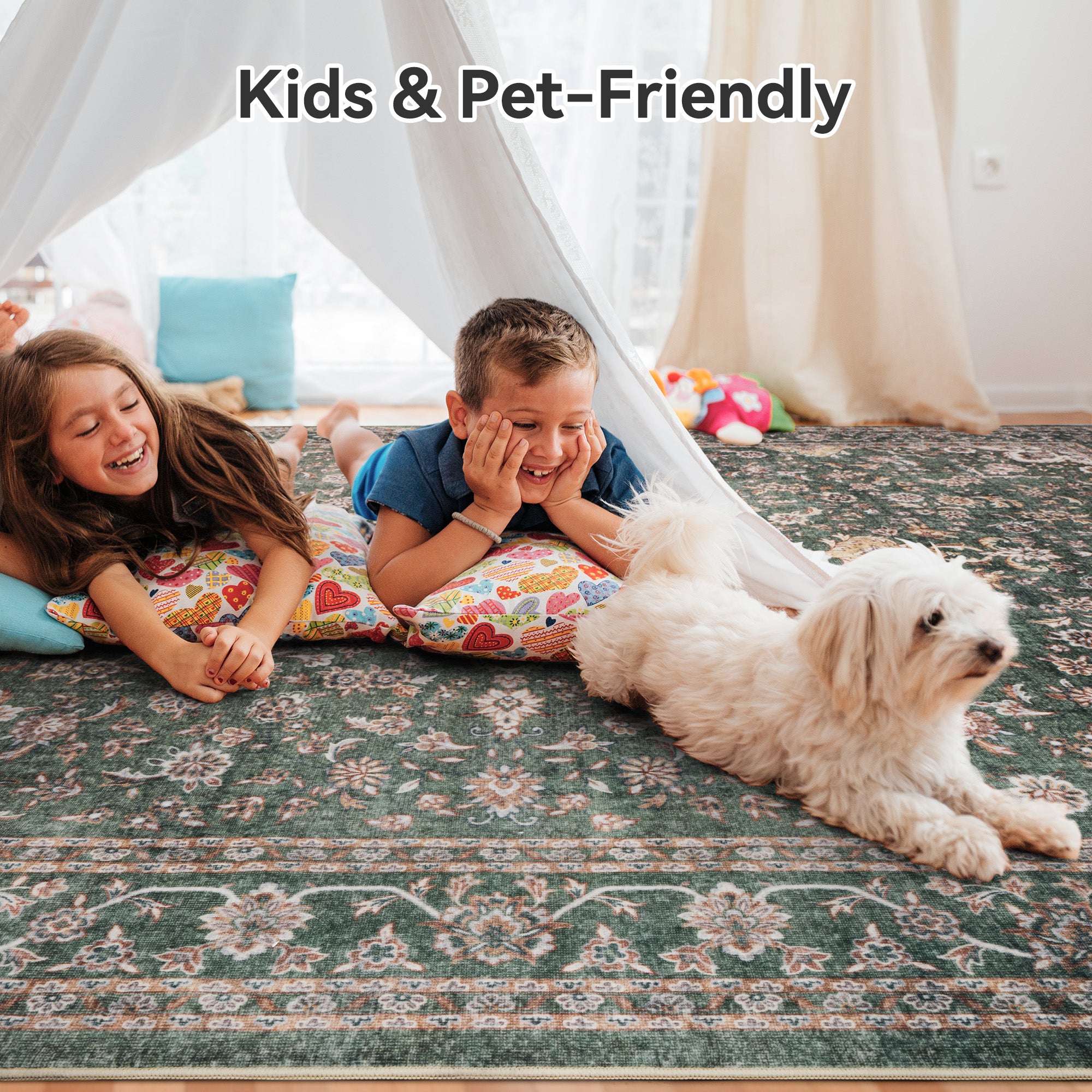 Area Rugs for Living Room Washable Traditional