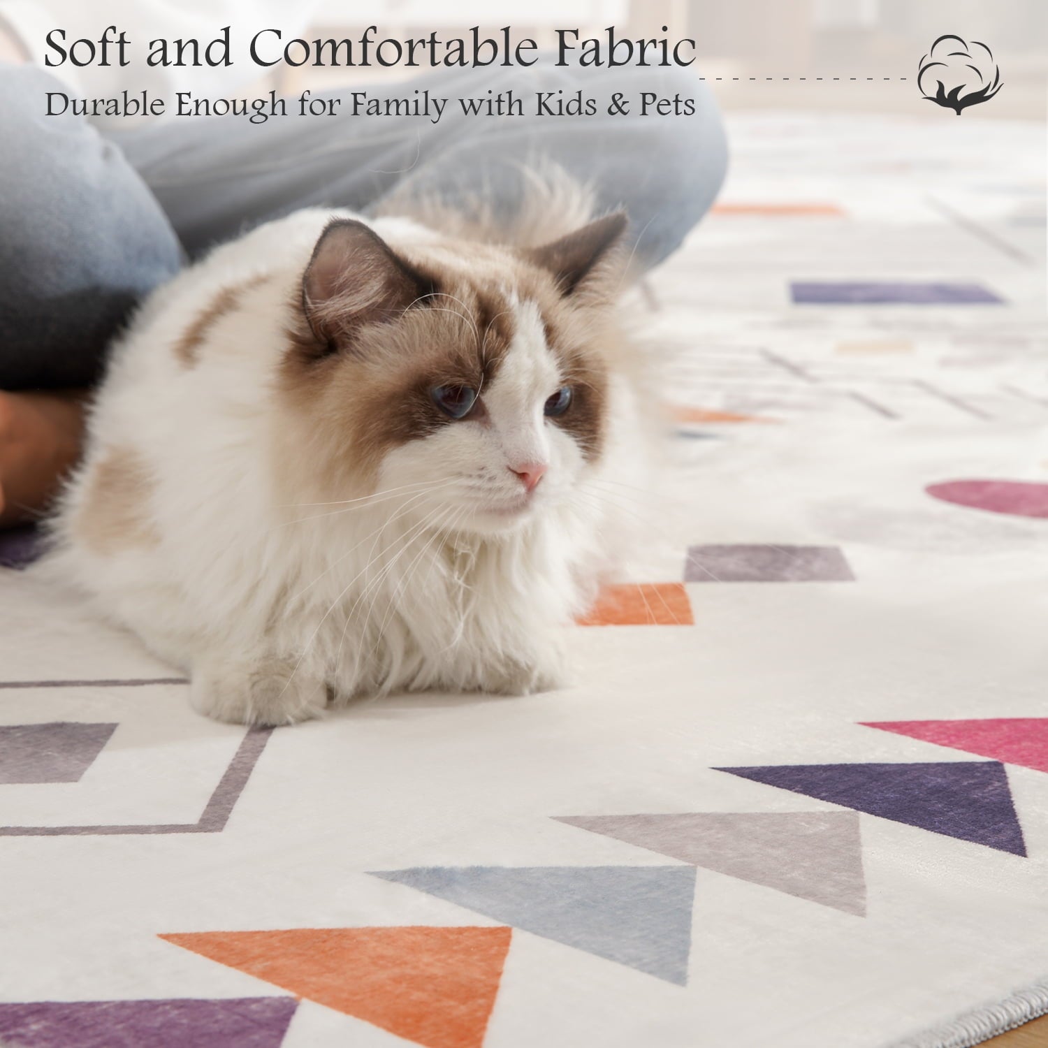 New Boho Area Rug