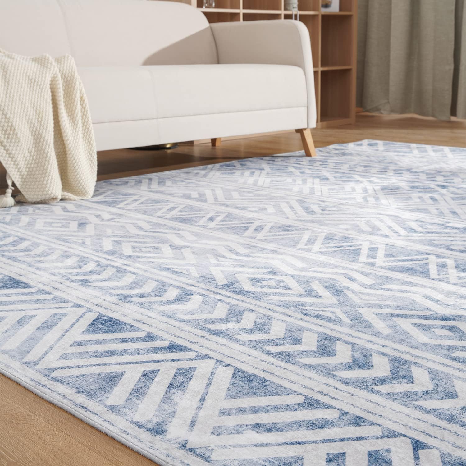 Bohemian and Modern Area Rug