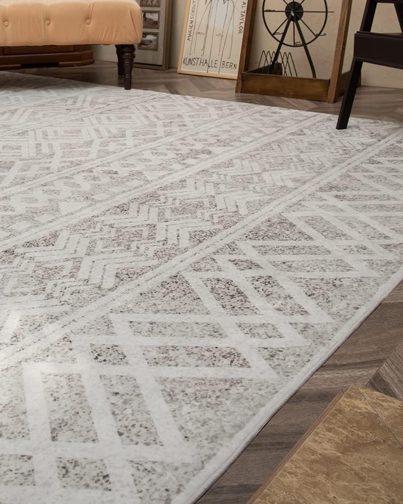 Bohemian and Modern Area Rug