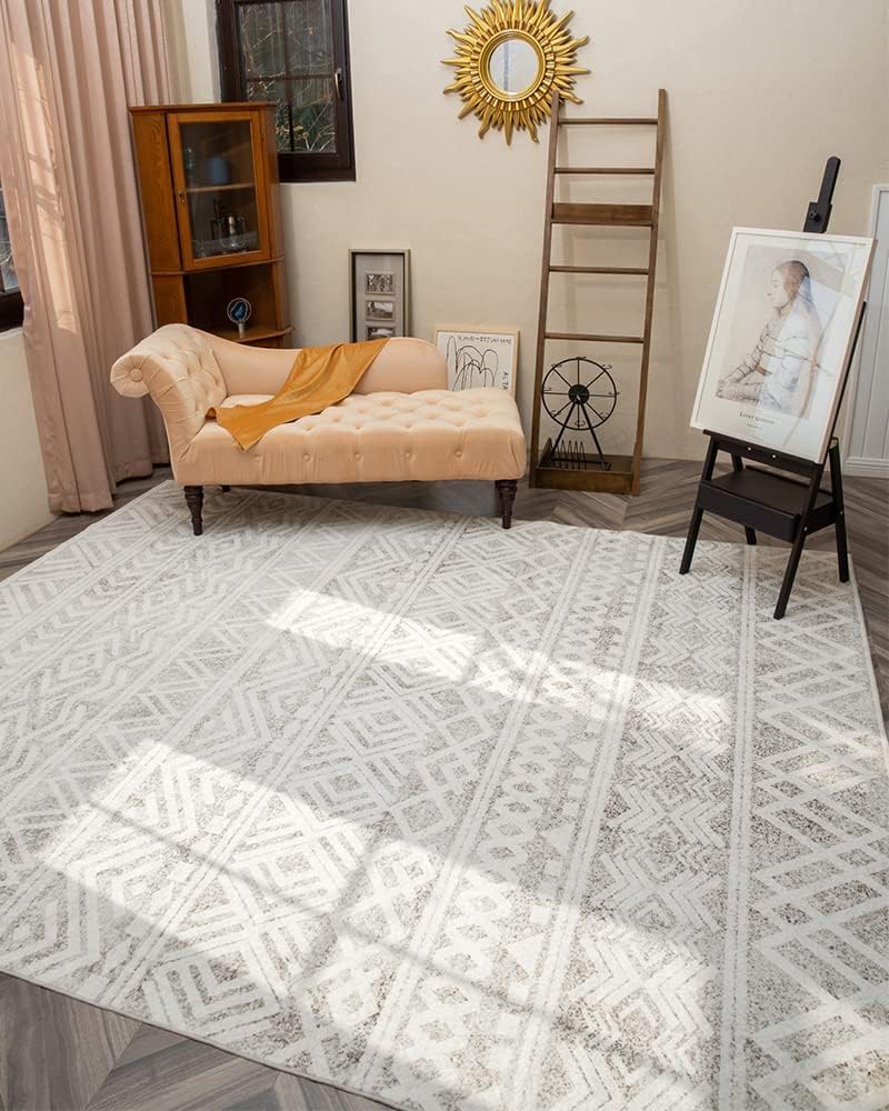 Bohemian and Modern Area Rug