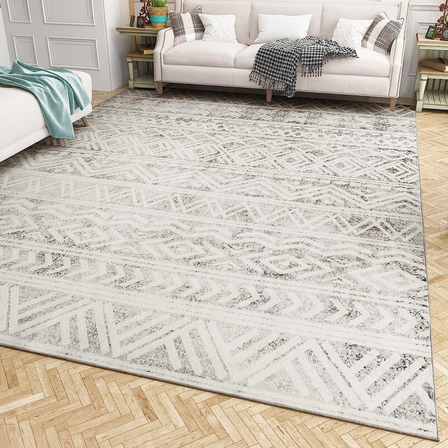 Bohemian and Modern Area Rug