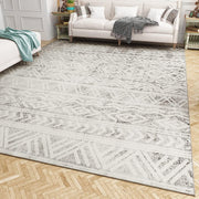 Bohemian and Modern Area Rug