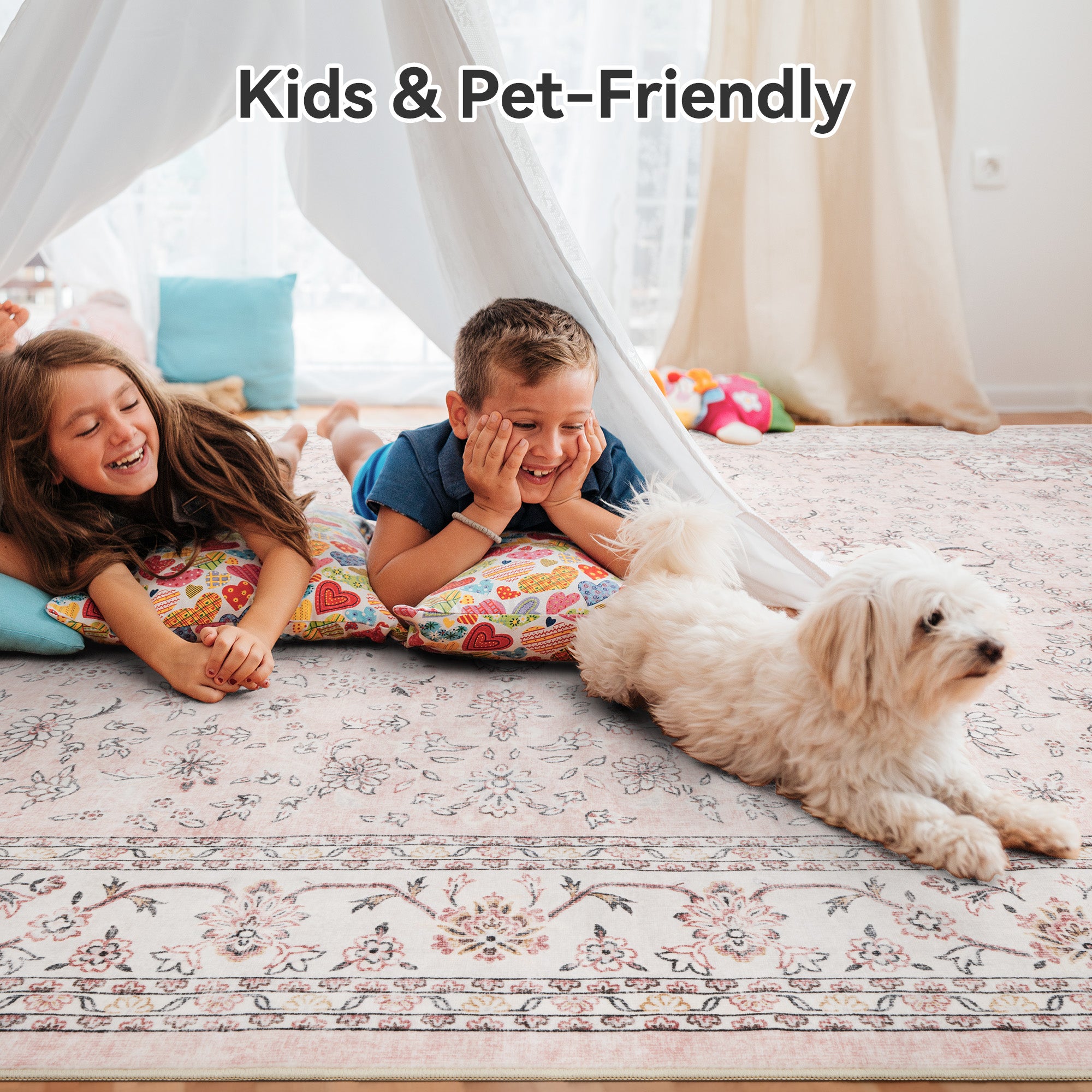 Area Rugs for Living Room Washable Traditional
