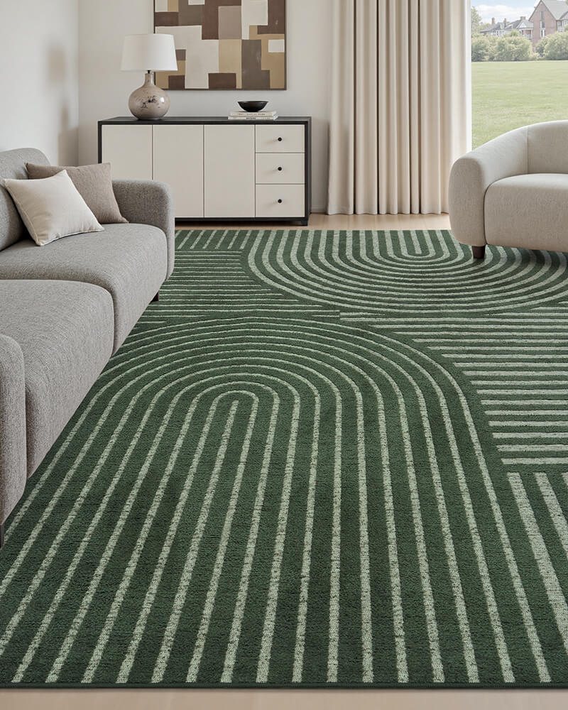 Minimalist rug, washable with a safe non-slip back for living room, bedroom.