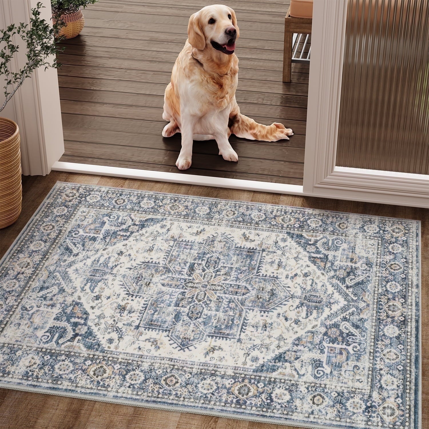 Vintage Medallion Area Rug