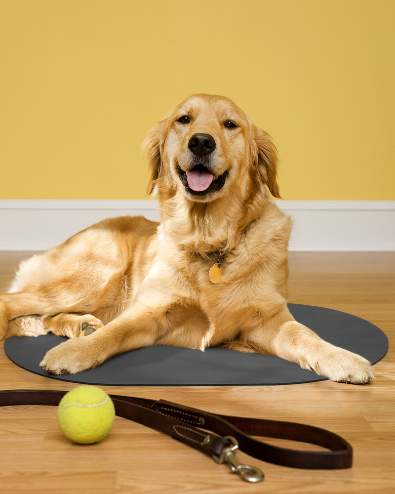 Non Slip Pet Feeding Mat — Pet Feeding Pad for Food and Water