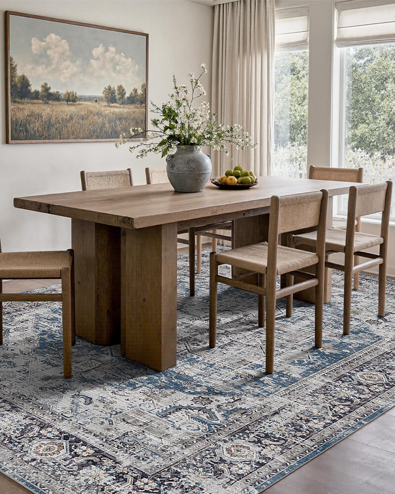 Soft boho area rug enhancing everyday comfort