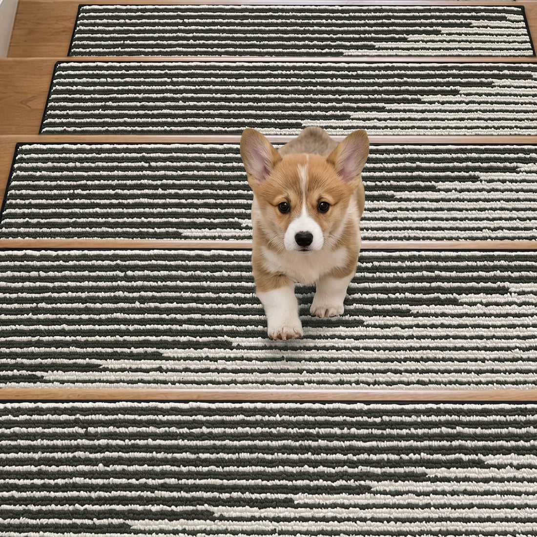 A cute corgi puppy walks across black and white striped woven stair treads on a wooden staircase, highlighting their textured ribbed surface, comfortable footing, and pet-friendly non-slip design that adds everyday protection and modern style to indoor stairs.