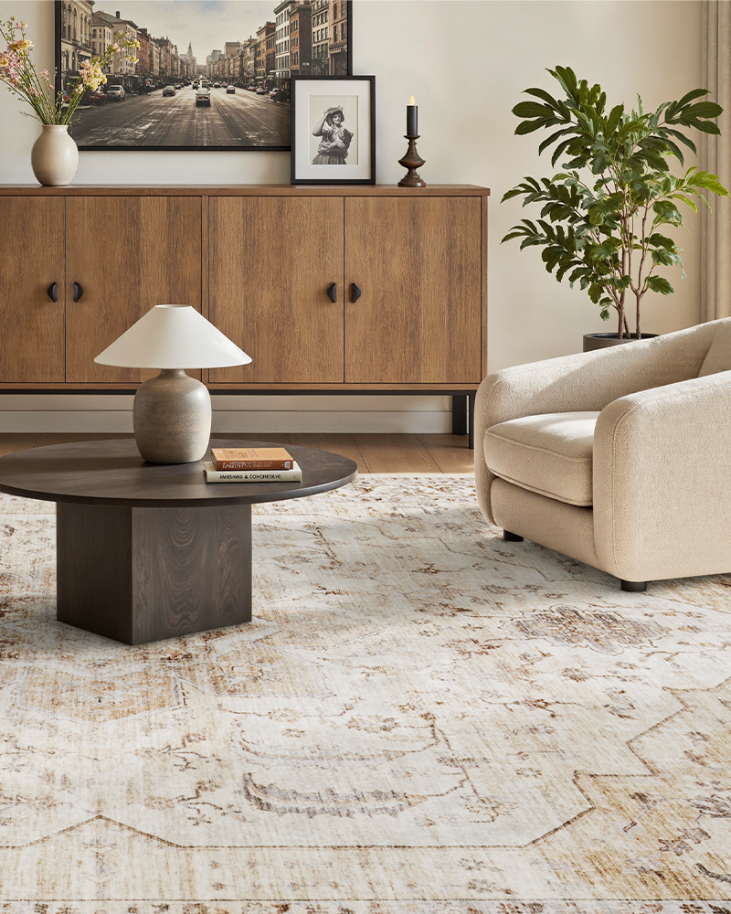 Non slip boho area rug safe for pets and kids in everyday spaces. Washable area rug, easy cleaning design.