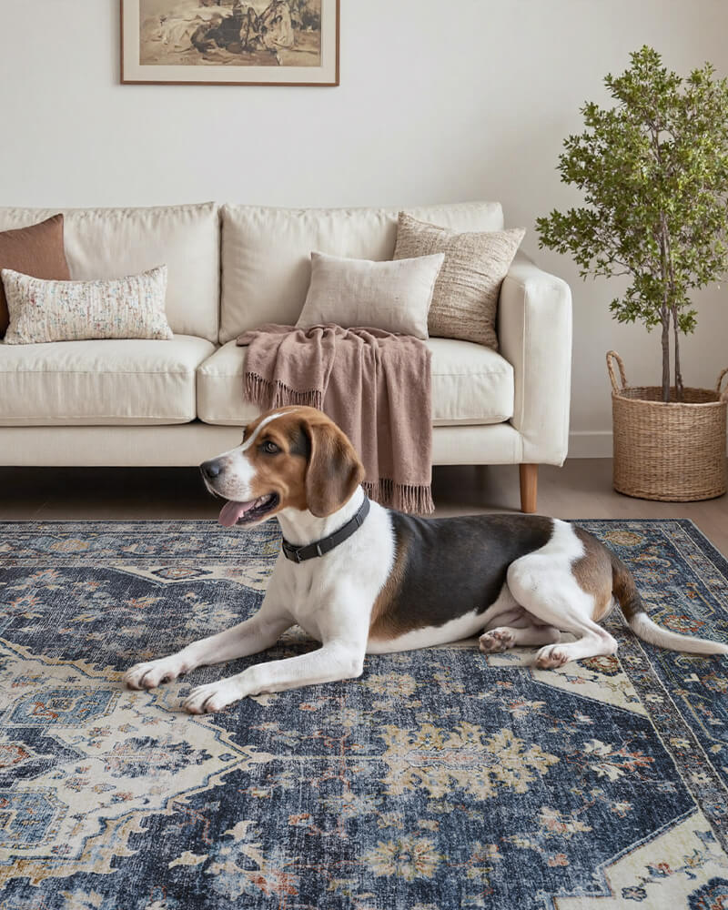 Soft washable non-slip rug for living room, durable and pet friendly.