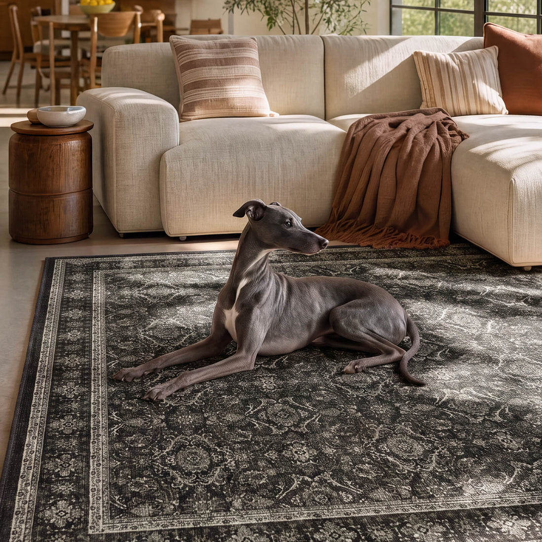 A dark charcoal vintage washable rug with a faded ornamental border creates a cozy dog friendly living room space with a cream sofa, warm textiles, and soft low-pile comfort for everyday home living.