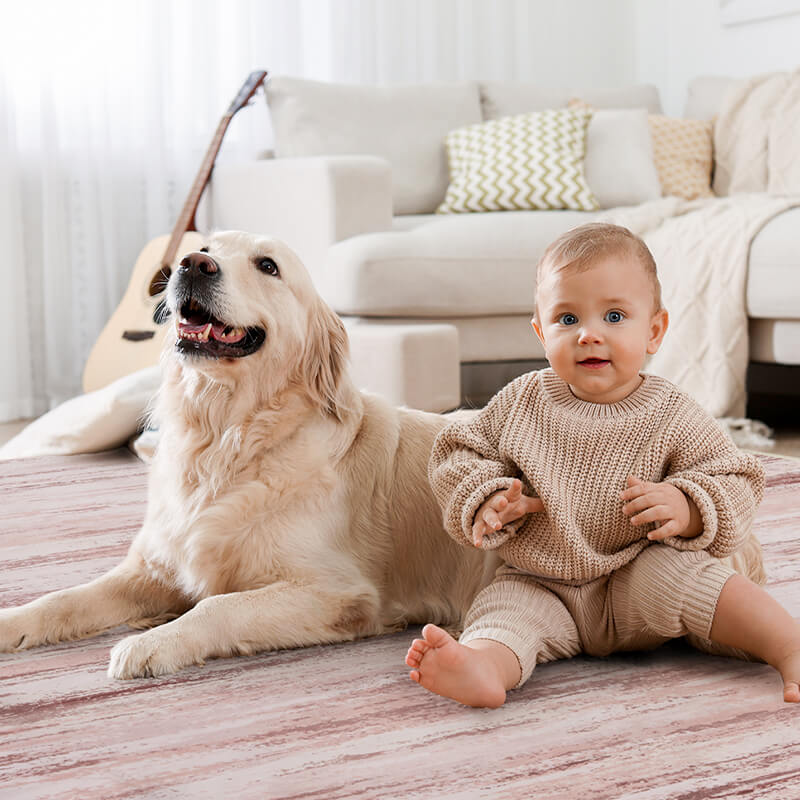 Low-profile modern rug with washable design for high-traffic spaces