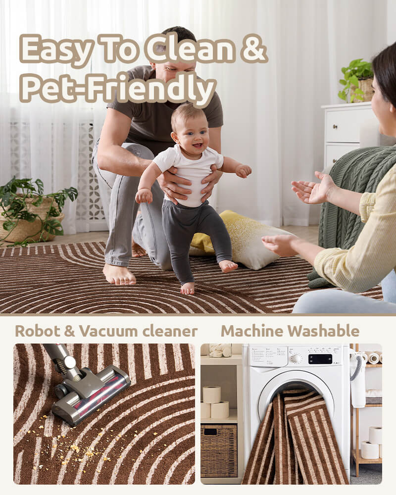 Modern area rug supporting clean and functional living