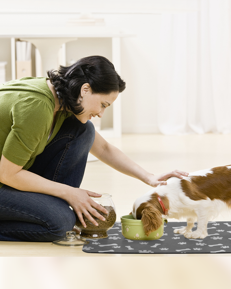 Dog feeding mat with absorbent surface for messy drinkers