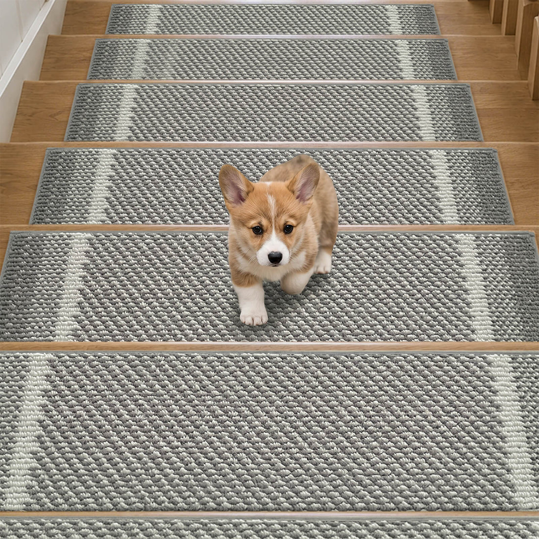 A cute corgi puppy walks down wooden stairs covered with gray gradient striped non-slip stair treads, highlighting their soft raised woven texture, modern ombre stripe pattern, and anti-slip backing designed to provide added traction, comfortable footing, and everyday stair protection for homes with kids and pets.