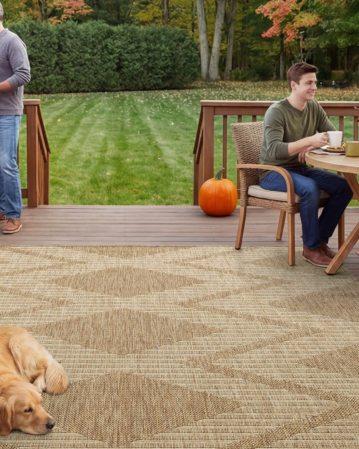 Indoor outdoor rug designed for modern home interiors and outdoor spaces
