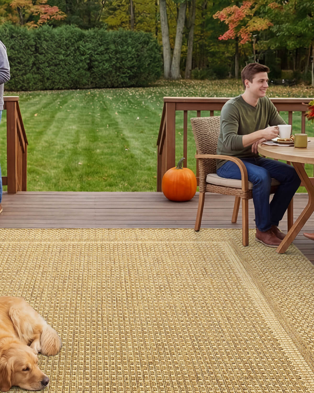 Washable indoor outdoor rug perfect for low maintenance living and easy cleaning