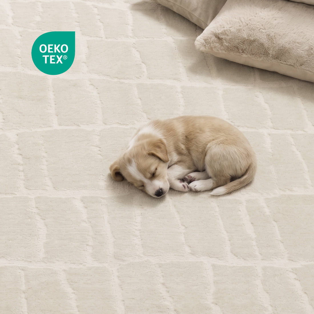 An ivory luxury Wilton jacquard rug with OEKO-TEX certification creates a gentle puppy safe space, featuring raised grid texture, plush tonal depth, and refined comfort for premium bedrooms and elegant living areas.