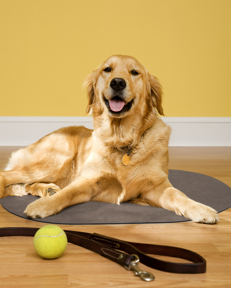 Washable Pet Feeding Mat for Water and Food — No Stains and Odor Free