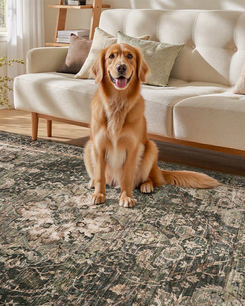 Boho inspired area rug designed for low maintenance living