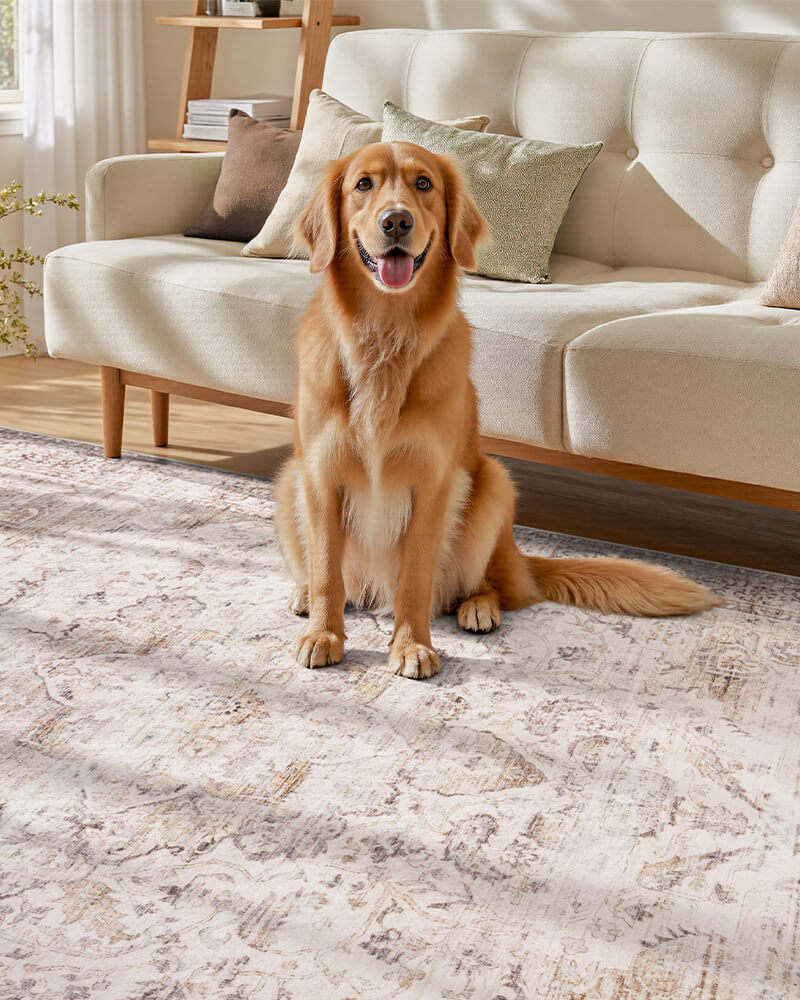 Low profile boho style area rug with secure non slip backing