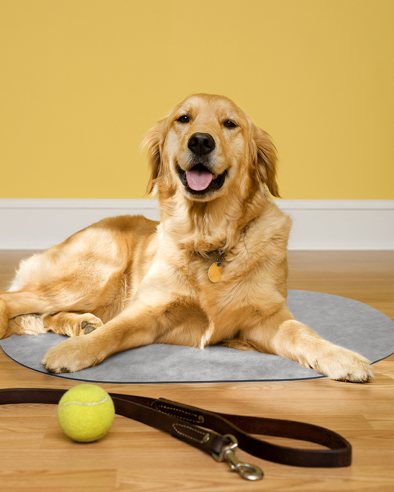 Absorbent Quick Dry Pet Feeding Mat Water Bowl Mat for Messy Drinkers